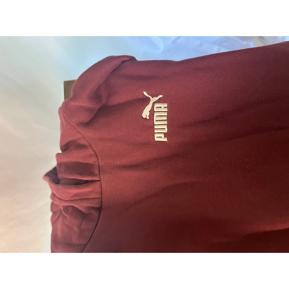 PUMA Girls Juniors 2-Piece Set Hoodie & Joggers Maroon Pink Leopard Trim Size XL - Picture 2 of 10